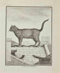Le Chats Des Chartreux - Acquaforte di Louis Simon Lempereur - 1771