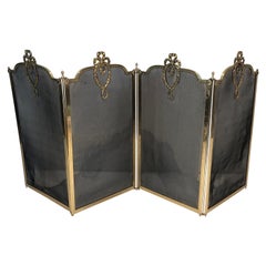 Louis the 16th Style Brass and Grilling Fireplace Screen, French Work