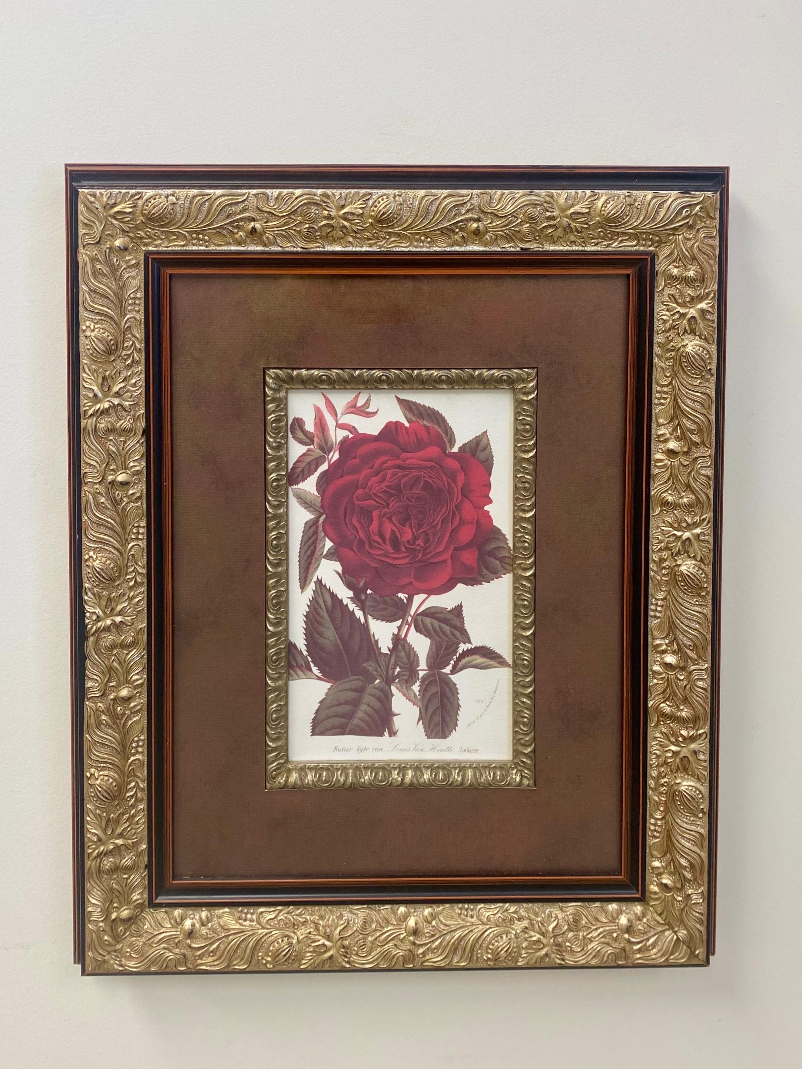 Red Rose Botanicals by Louis Van Houtte & Victor Trouillard, a Pair  1