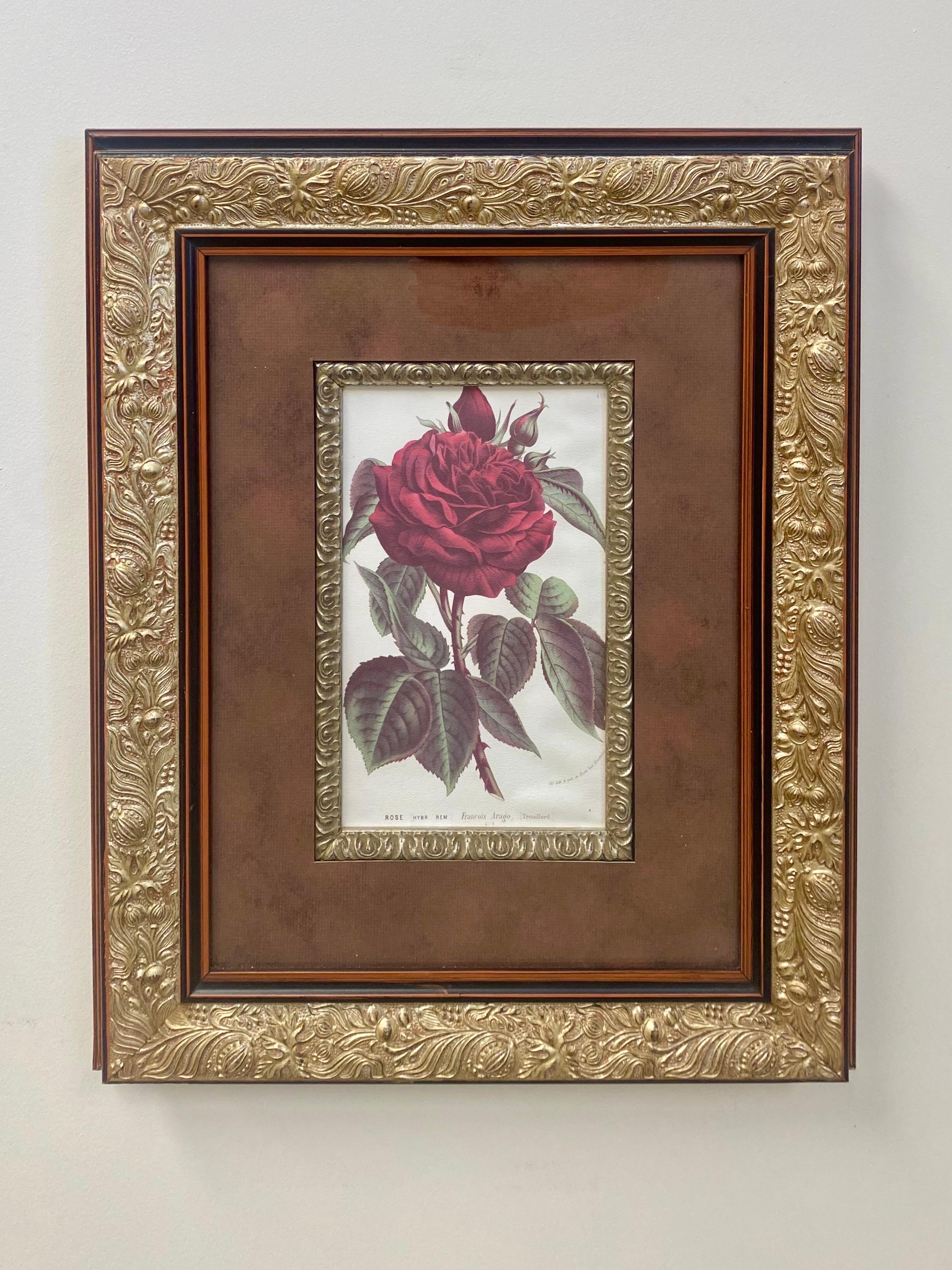 Red Rose Botanicals by Louis Van Houtte & Victor Trouillard, a Pair  2