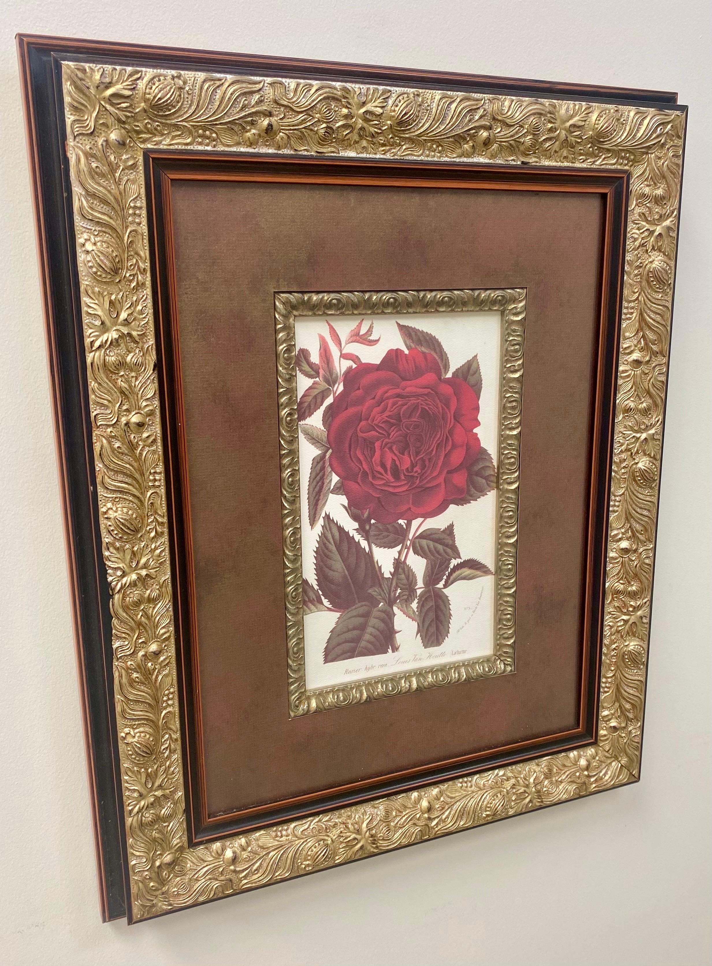 Red Rose Botanicals by Louis Van Houtte & Victor Trouillard, a Pair  3