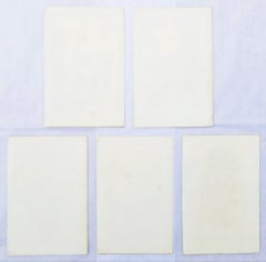 Set of Five Hand-Colored Lithograph Botanical Prints by Louis van Houtte