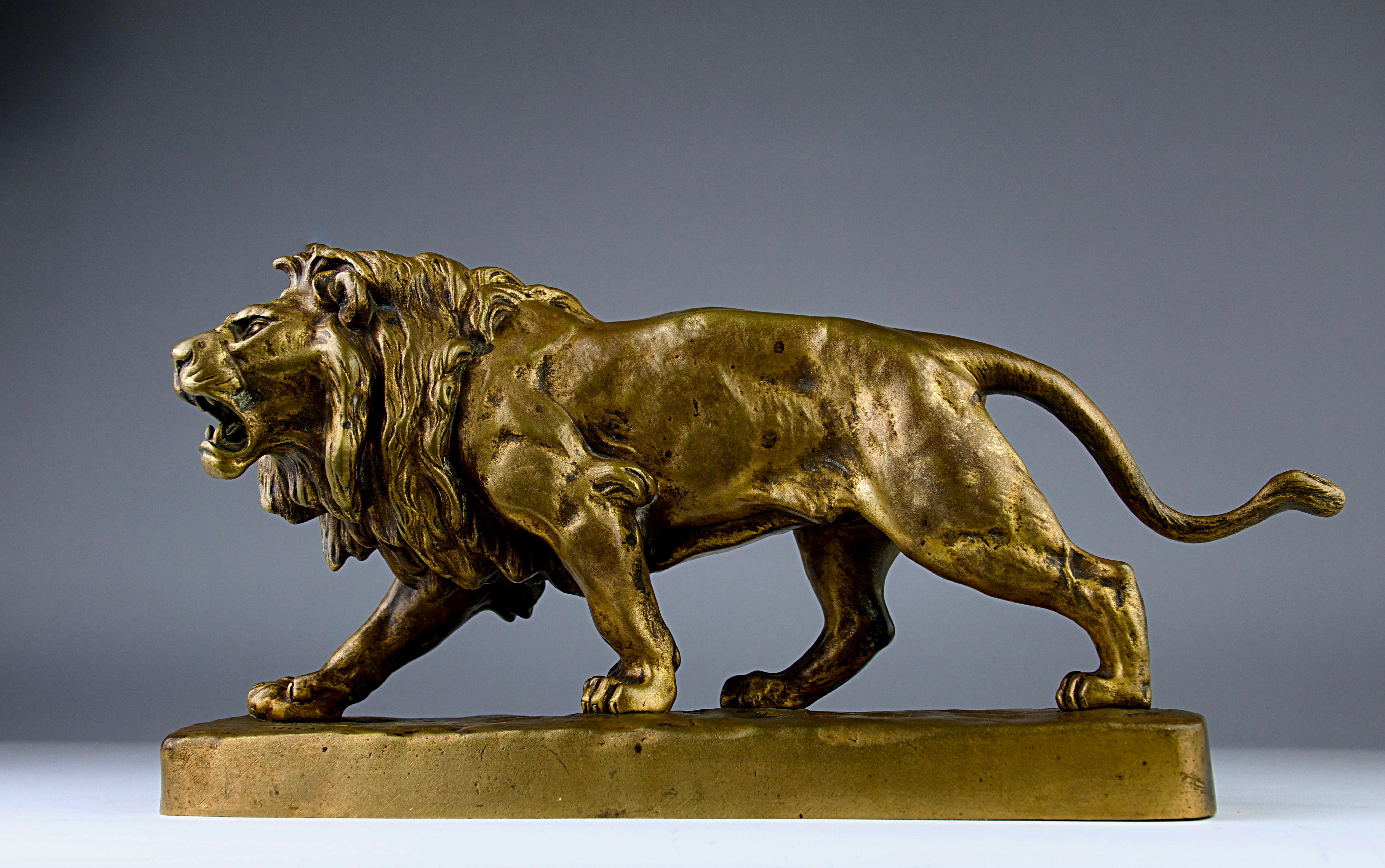 Beau lion rugissant en bronze patiné or de l'artiste et sculpteur Louis Vidal (1831-1892) de la période romantique, France 19ème siècle. 

Dimensions en cm ( H x L x l ) : 17 x 36 x 9

Expédition sécurisée.

Louis Vidal, Vidal l'aveugle ou