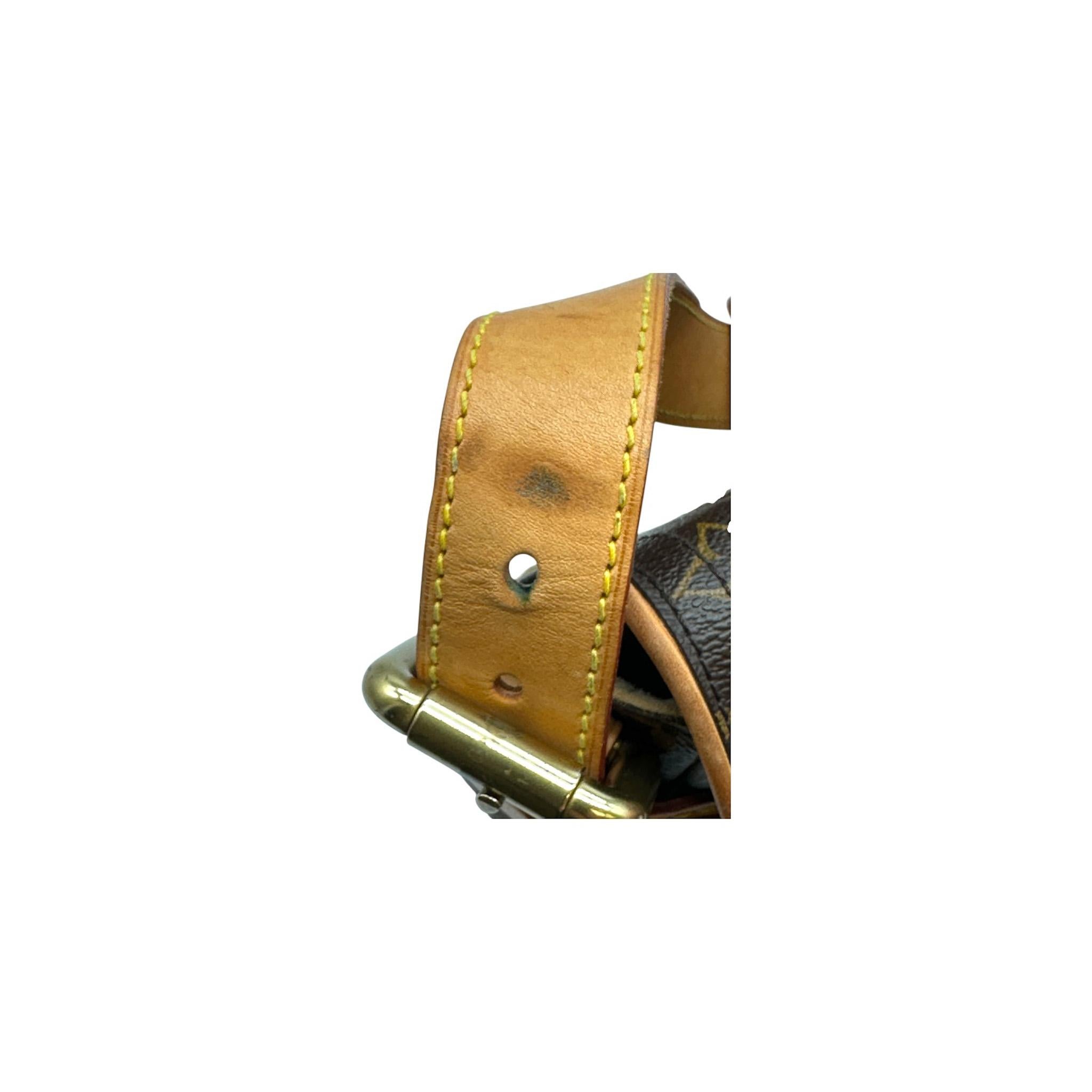 Bolso de hombro Louis Vuitton 2005 Monograma Hudson PM en venta 6