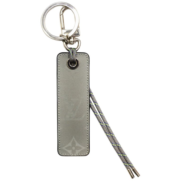 louis vuitton 2018 grey