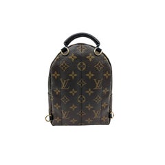 Louis Vuitton 2019 Monogram Palm Springs Mini Backpack