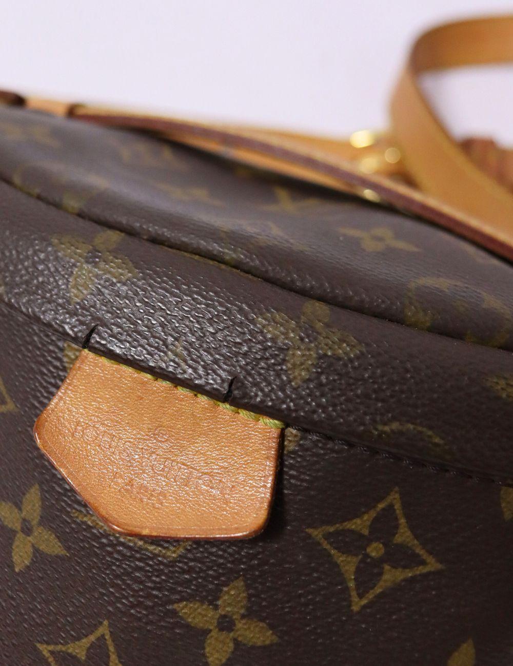 Black Louis Vuitton 2020 Monogram Bum Bag