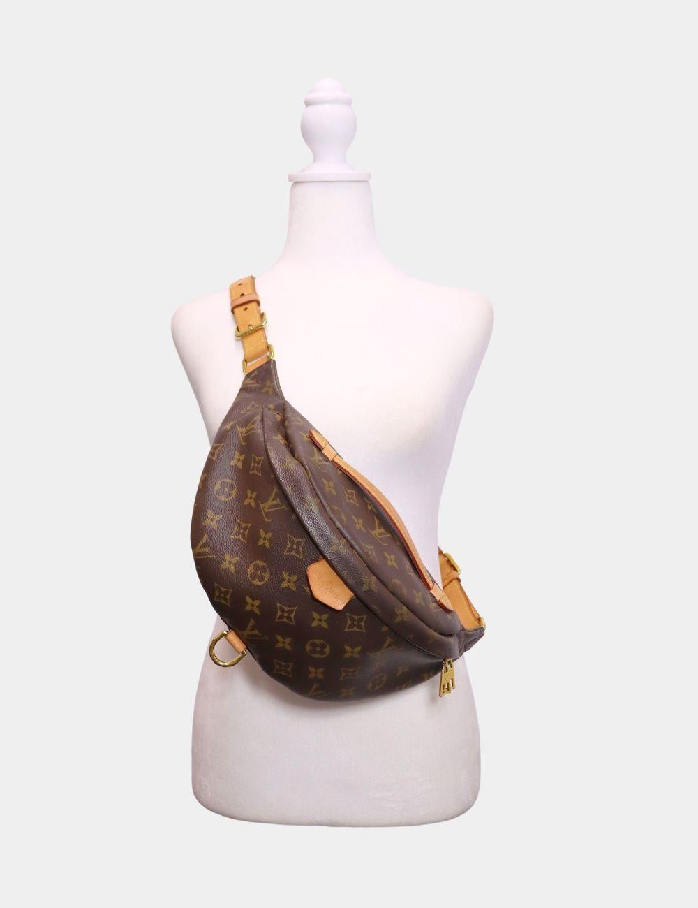 Louis Vuitton 2020 Monogram Bum Bag 1