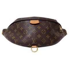 Louis Vuitton 2020 Monogram Bum Bag