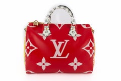 Louis Vuitton 30 Speedy bag 2019 limited edition