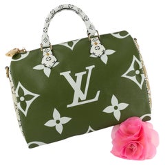 Louis Vuitton 30 Speedy bag 2019 limited edition