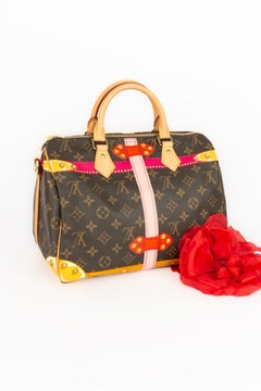Louis Vuitton 30 Trunk Speedy bag 2018 limited edition