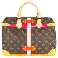 Louis Vuitton 30 Trunk Speedy bag 2018 limited edition