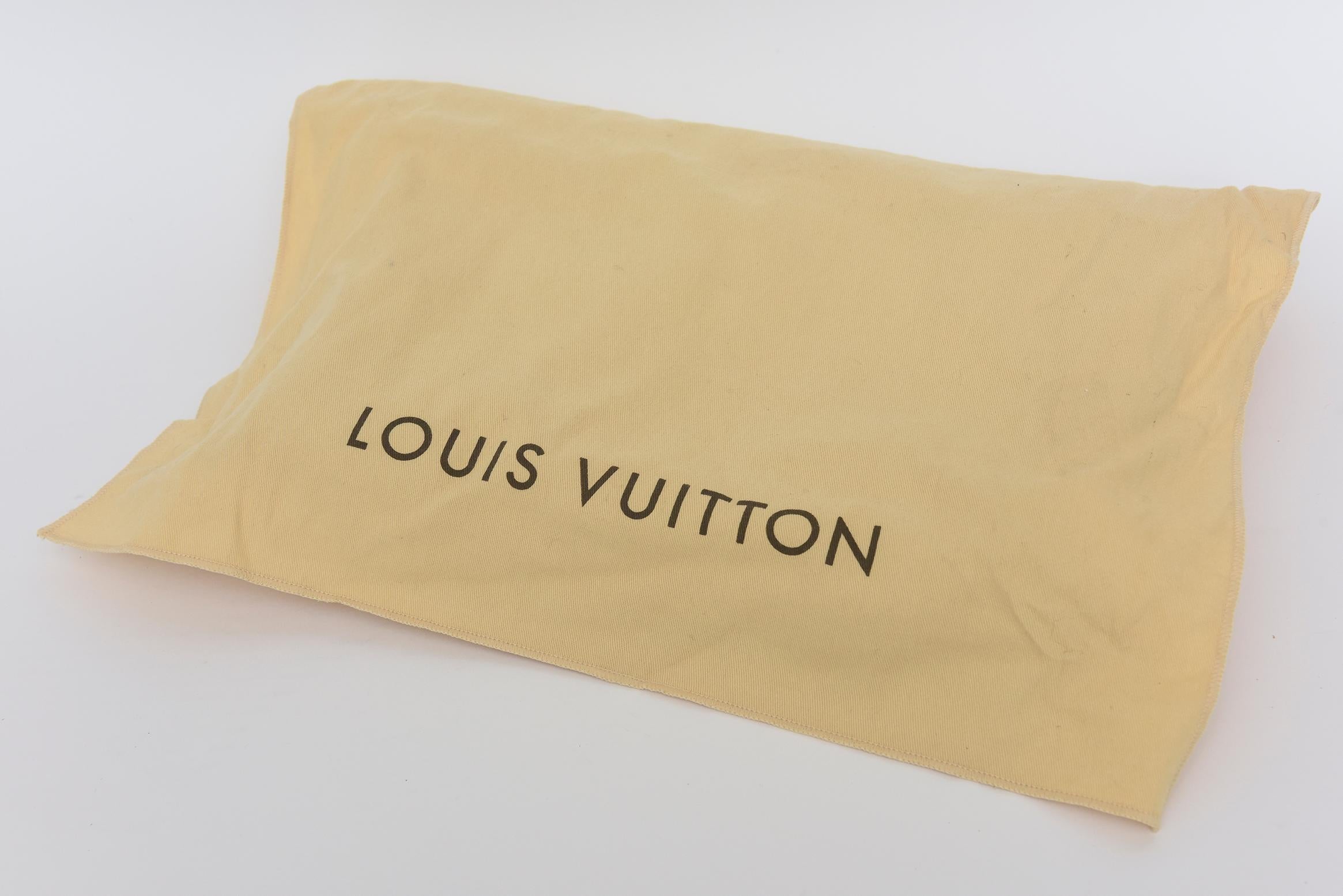 Louis Vuitton African Queen Gold Clutch 5