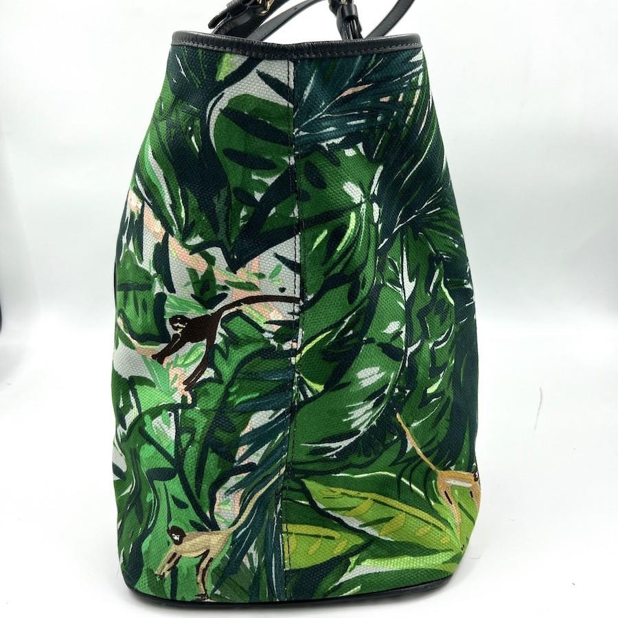 LOUIS VUITTON Ailleurs Aventure Limited Edition Tote Bag For Sale 3