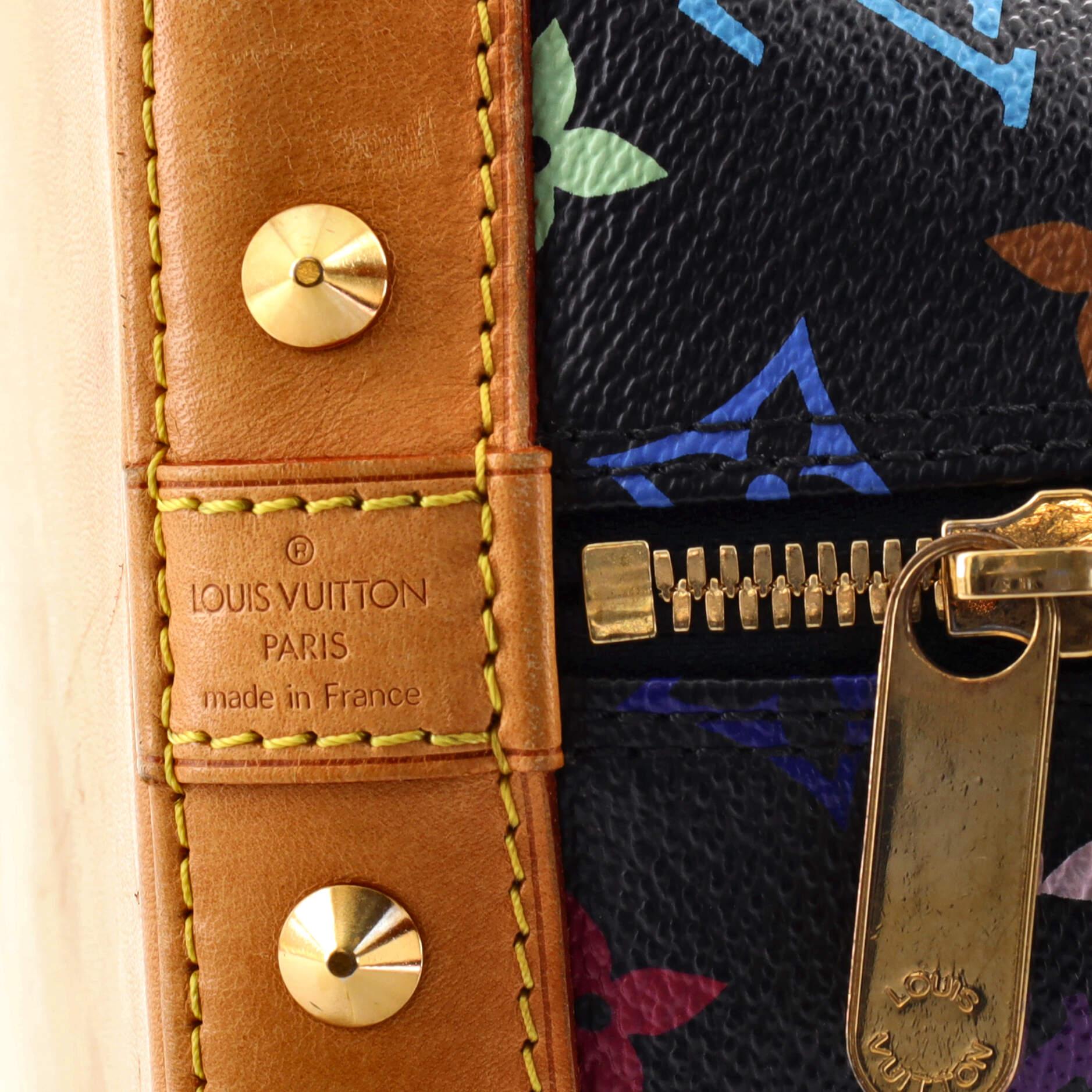 Louis Vuitton  Alma Handbag Monogram Multicolor PM 3