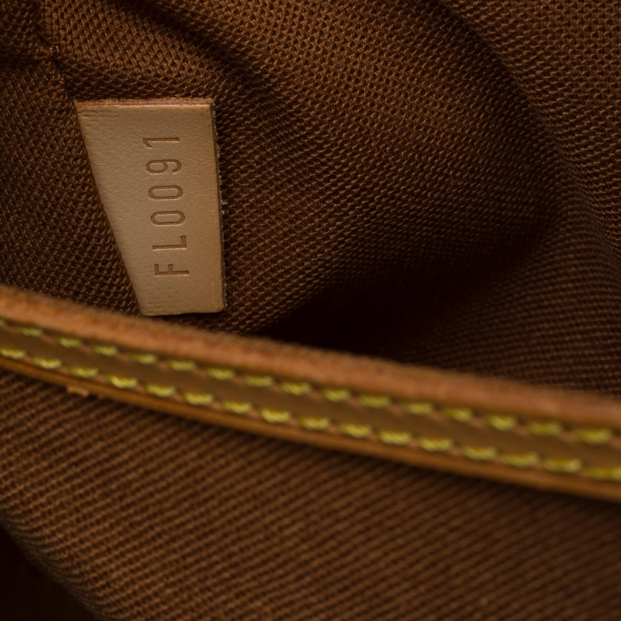 Sac à main Louis Vuitton Alma PM en toile enduite monogramme marron, GHW en vente 2