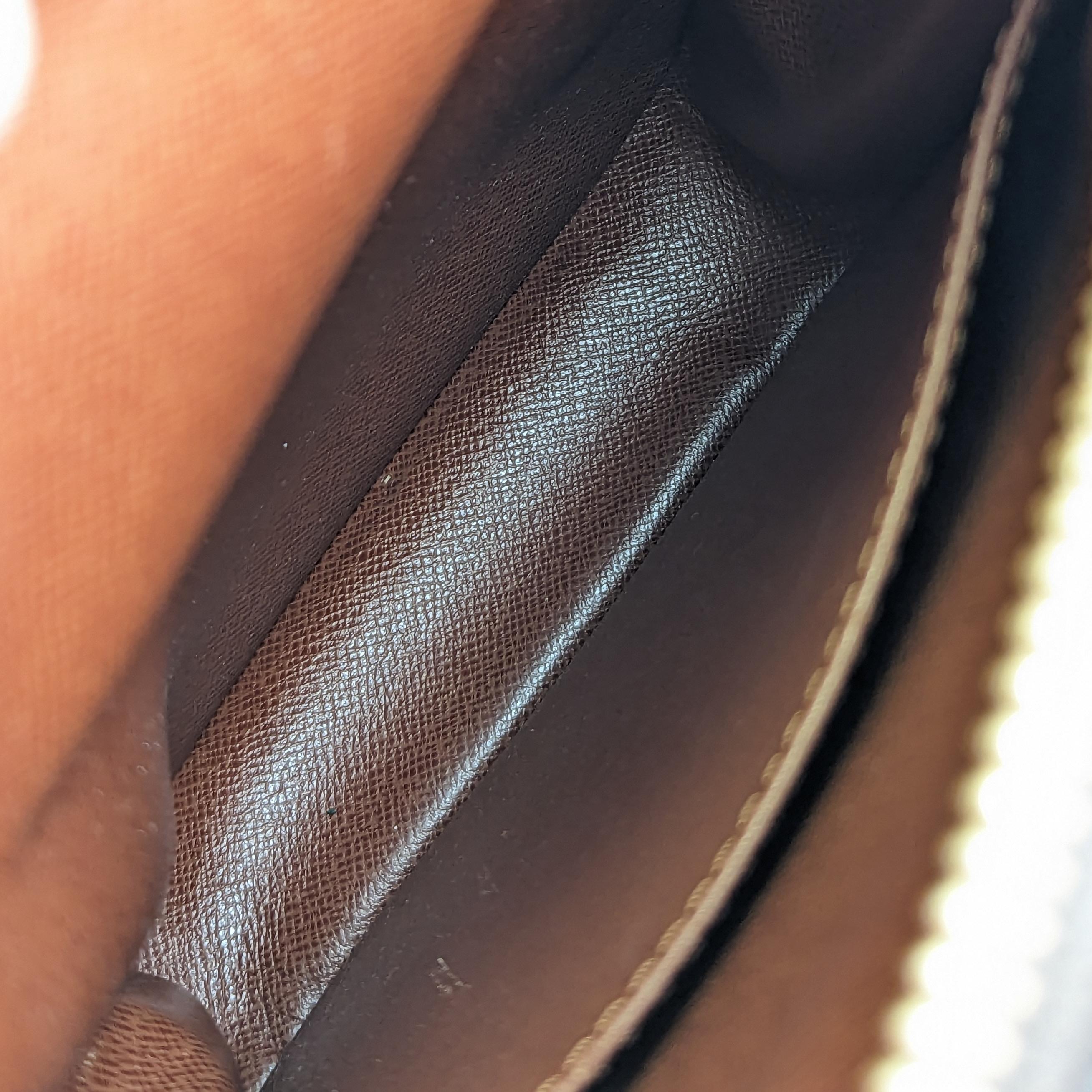 Louis Vuitton Amazon leather crossbody bag 2