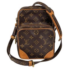 Louis Vuitton Amazon leather crossbody bag