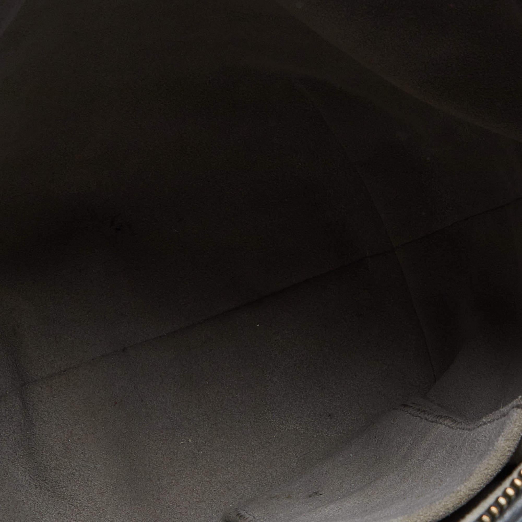 Louis Vuitton Anthracite Monogram Leather Olympe Nimbus PM Bag 5