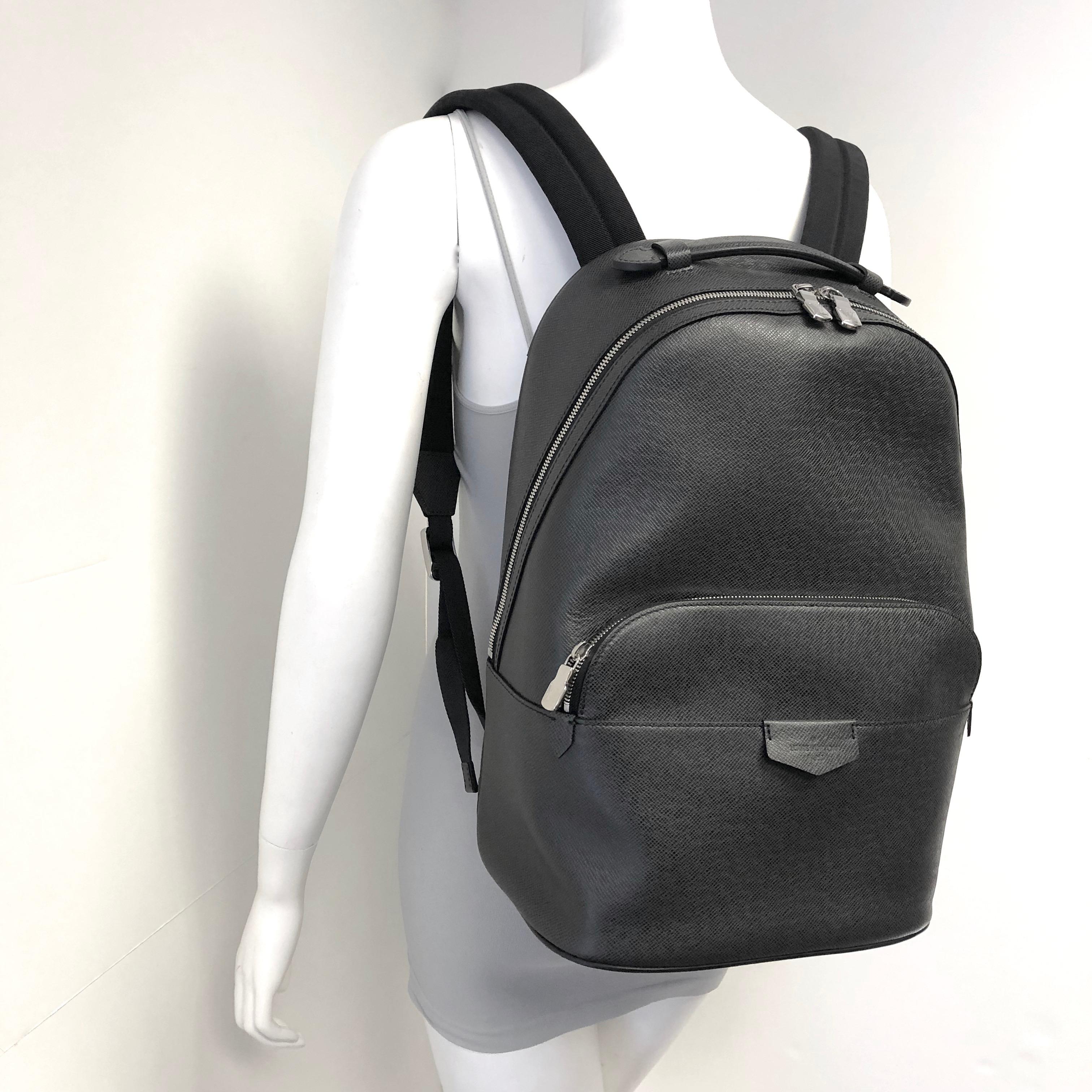 Louis Vuitton Anton Taiga Leather Backpack 7