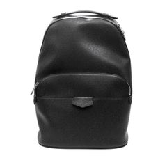 Louis Vuitton Anton Taiga Leather Backpack