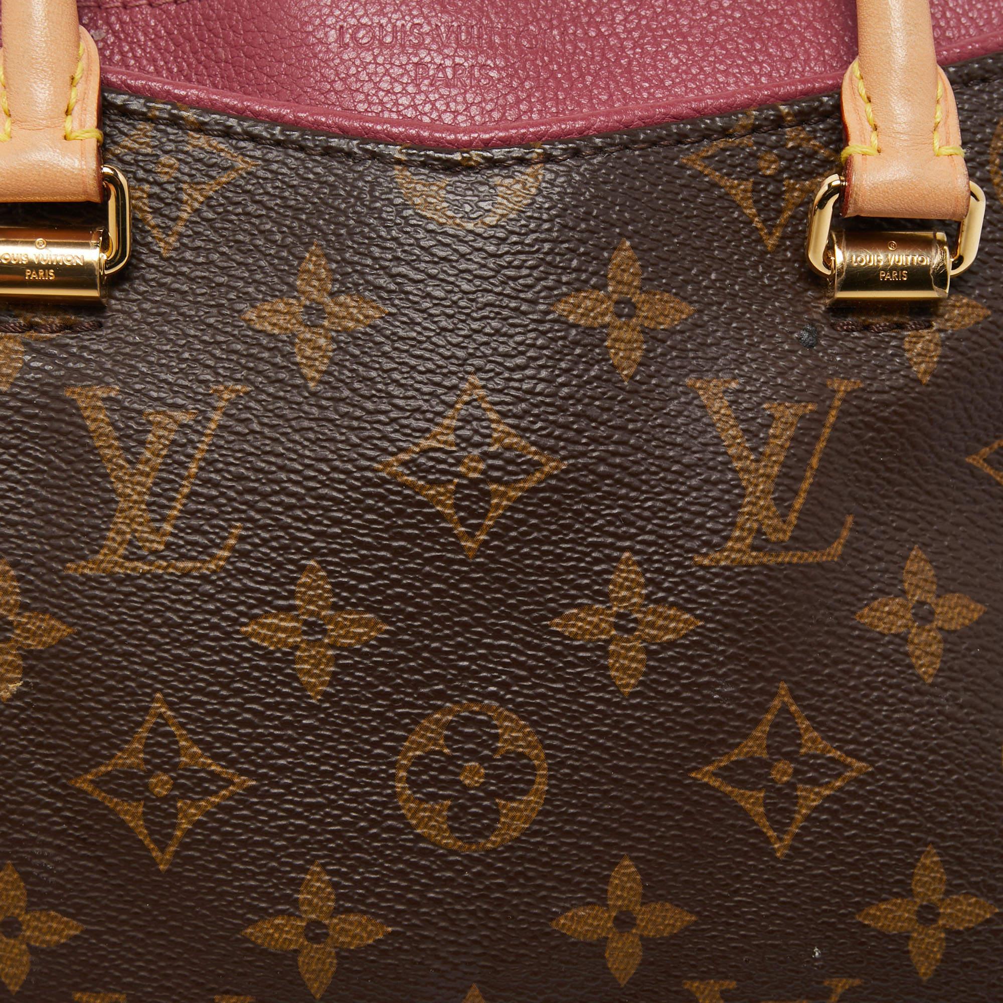 Louis Vuitton Aurore Leather and Monogram Canvas Pallas BB Bag 5