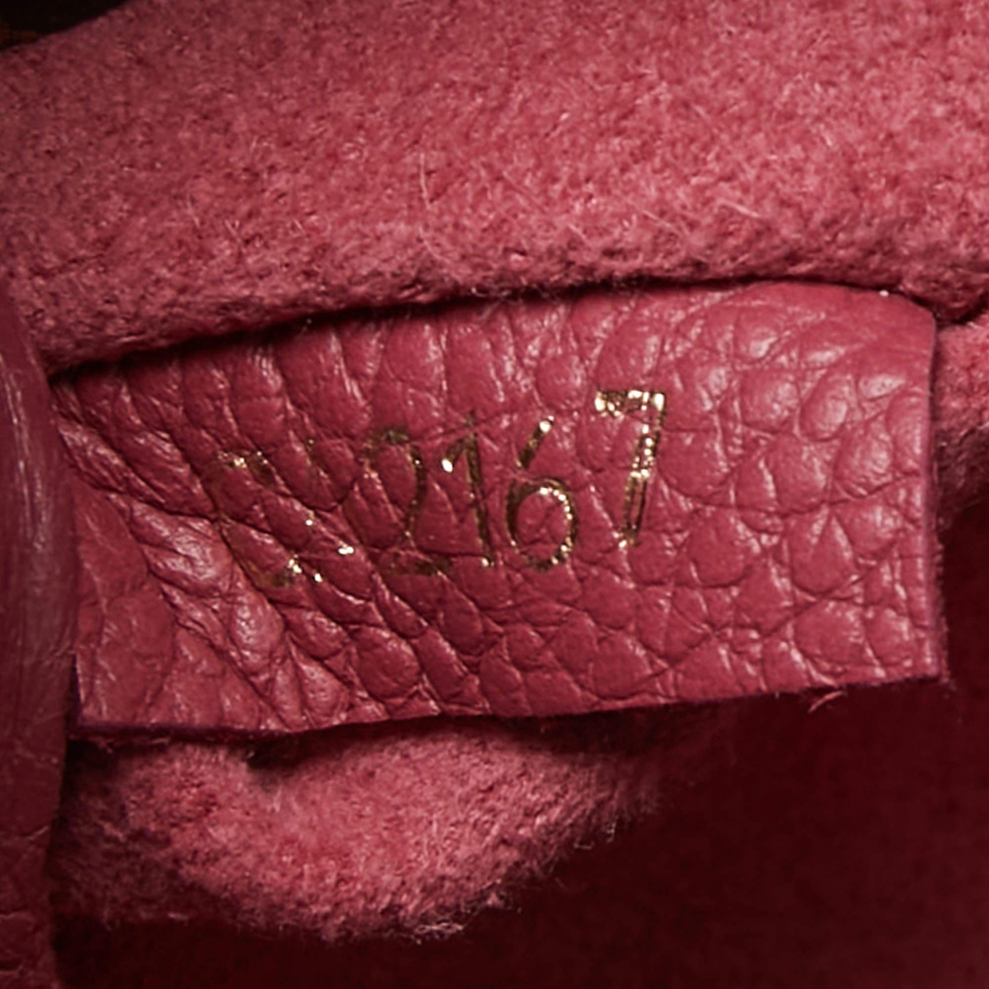 Louis Vuitton Aurore Leather and Monogram Canvas Pallas BB Bag 3