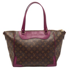 Bag and Purse Organizer with Regular Style for Louis Vuitton Estrela