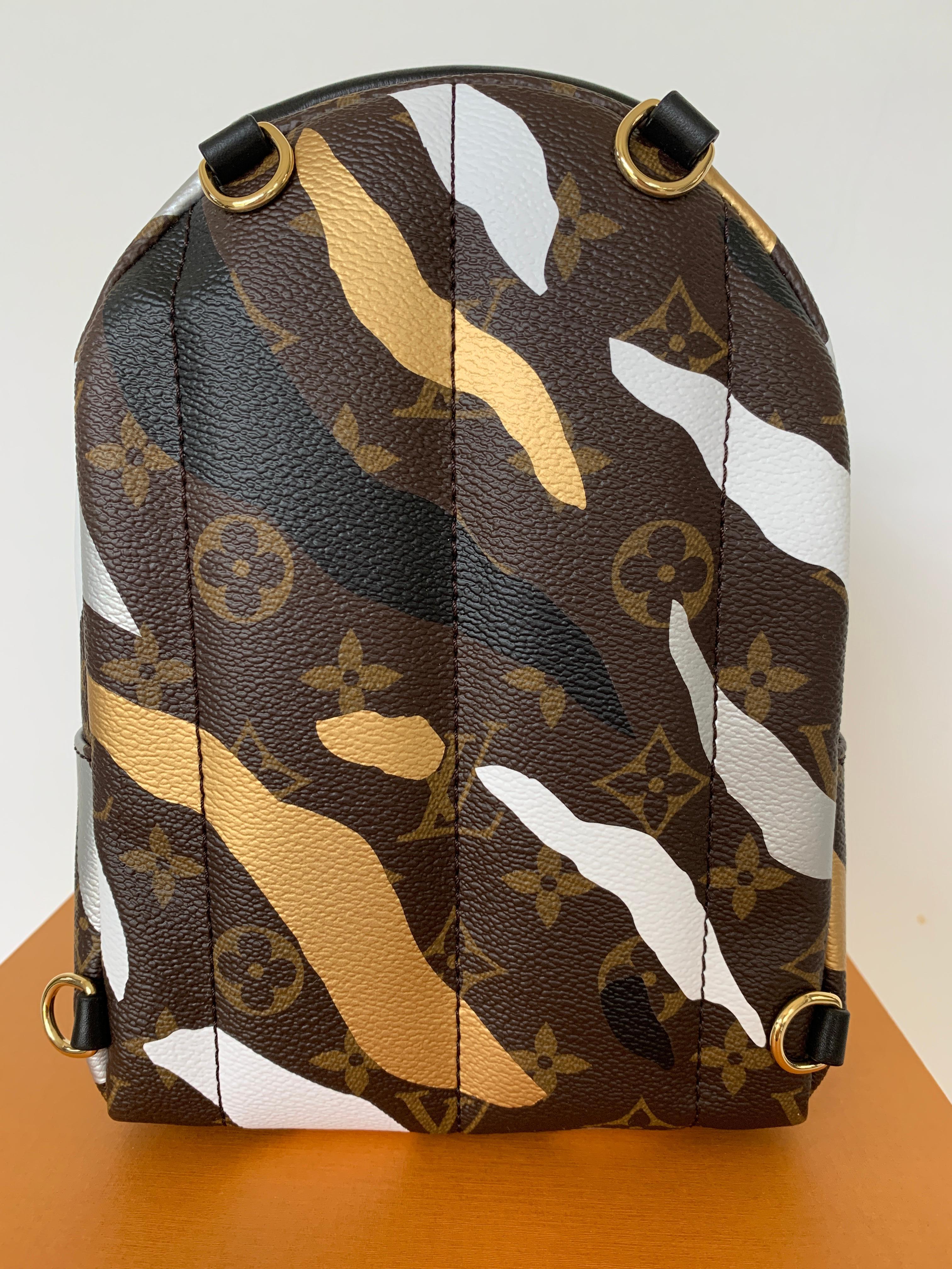 Louis Vuitton Backpack M45143 LVXLOL PALM SPRINGS MINI 1