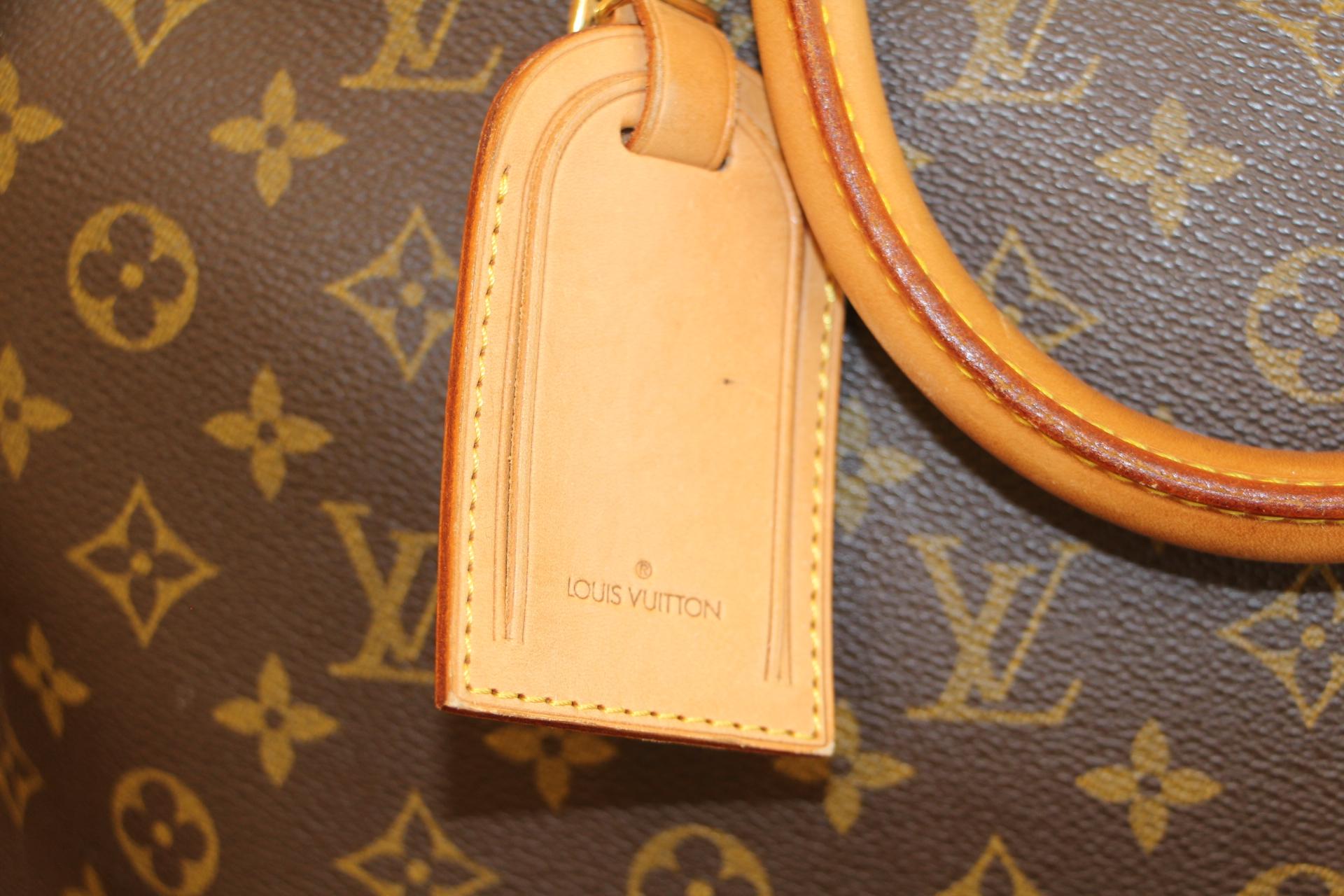 Louis Vuitton Bag in Monogram, 2 compartments 10