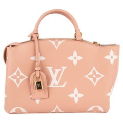 Used Louis Vuitton bag Petit Palais