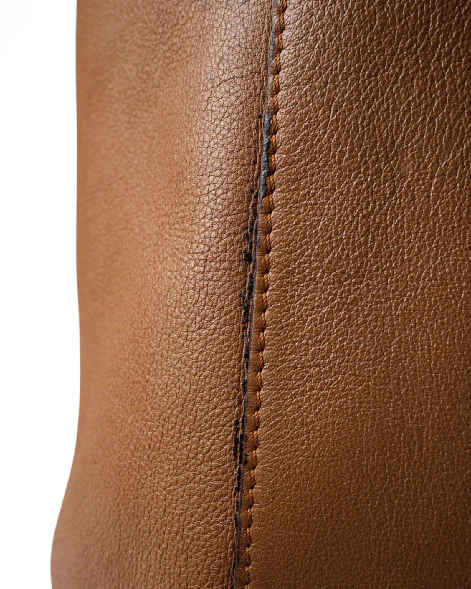 Louis Vuitton Bagatelle GM Taurillon Noisette en vente 9