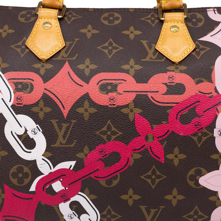 Louis Vuitton Poppy/Rose Ballerine Monogram Canvas Chain Print
