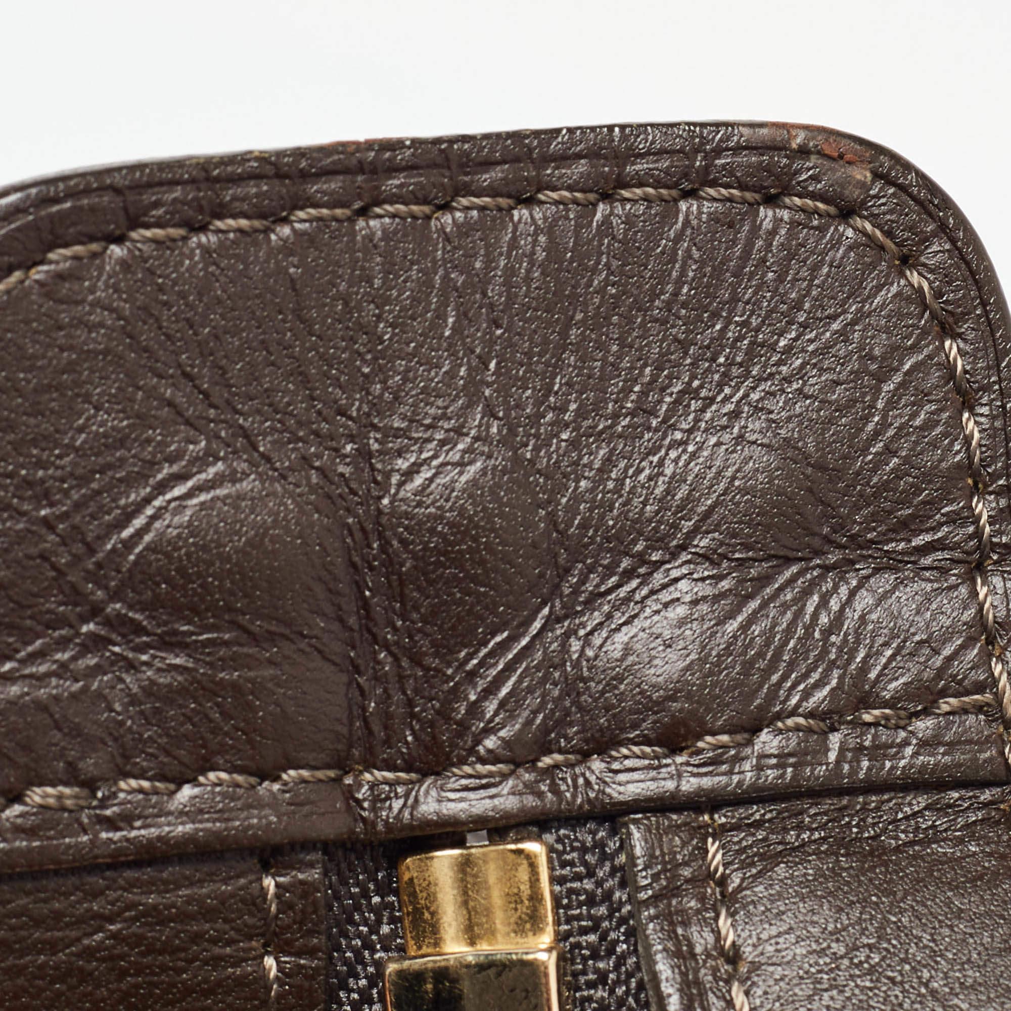 Louis Vuitton Beige/Brown Monogram Mini Lin Canvas Josephine GM Bag 2