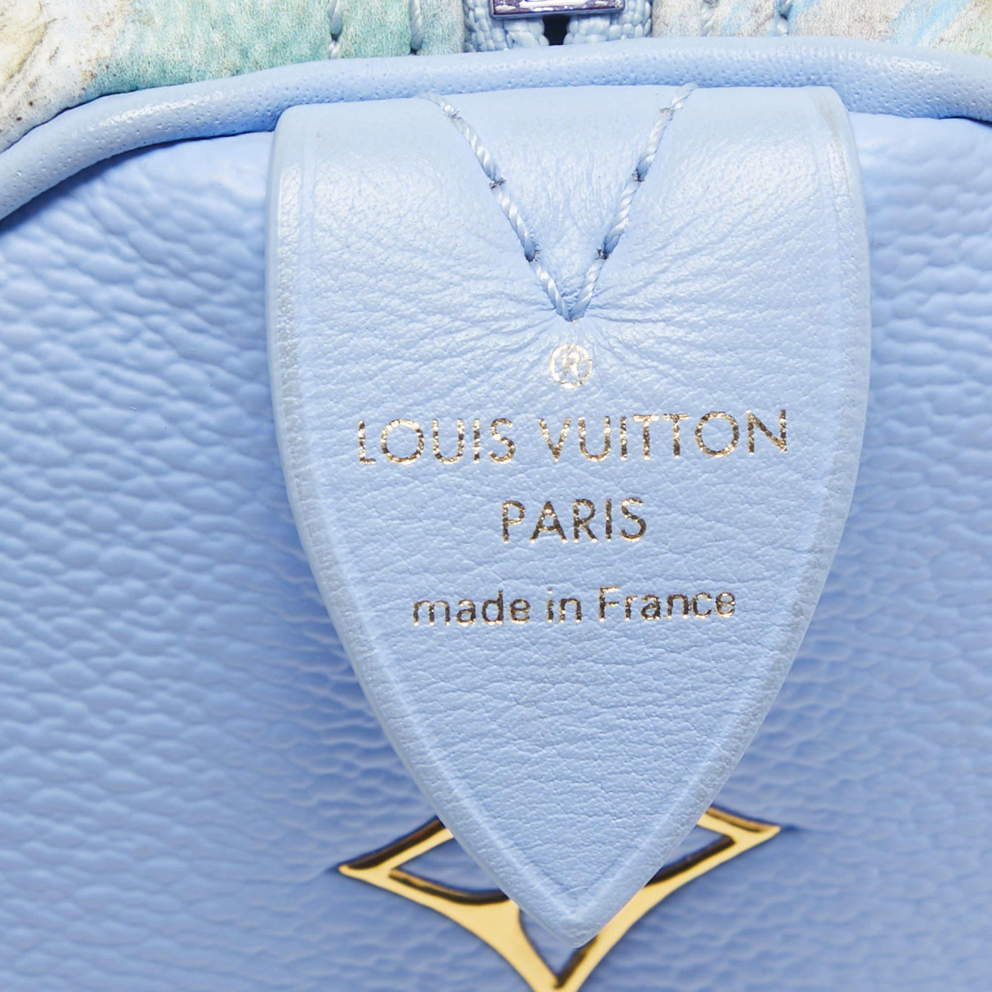 Louis Vuitton Blue Leather Masters Van Gogh Speedy 30 Bag For Sale 6