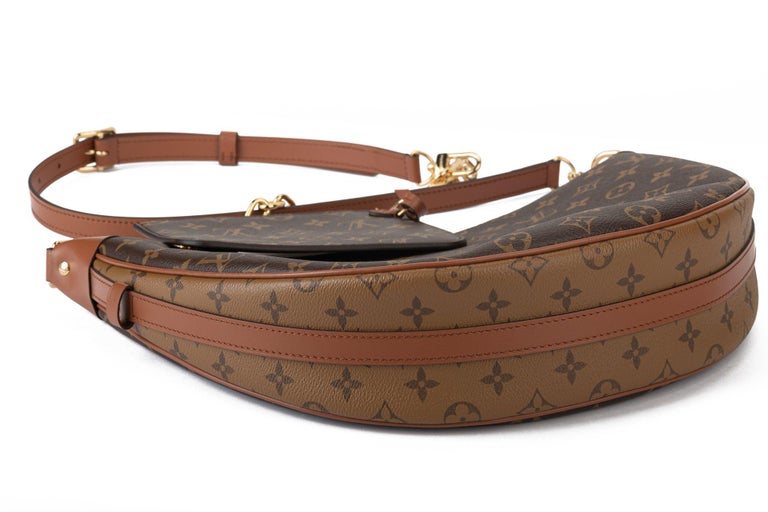 Louis Vuitton Bnib 2 Tone Monogram Hobo Bag