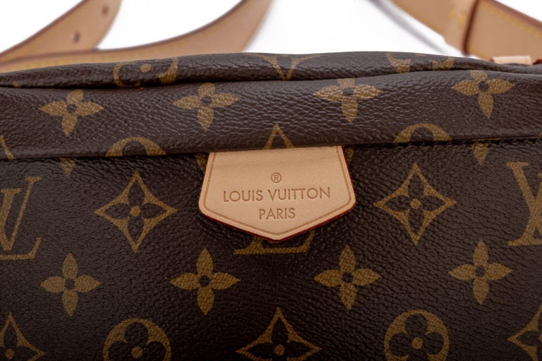 Louis Vuitton BNIB Monogram Bumbag For Sale 8