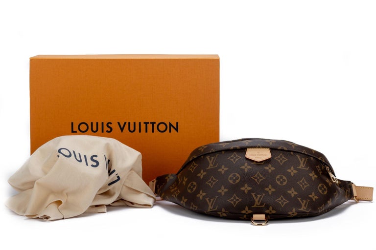 Louis Vuitton BNIB Monogram Bumbag For Sale 13