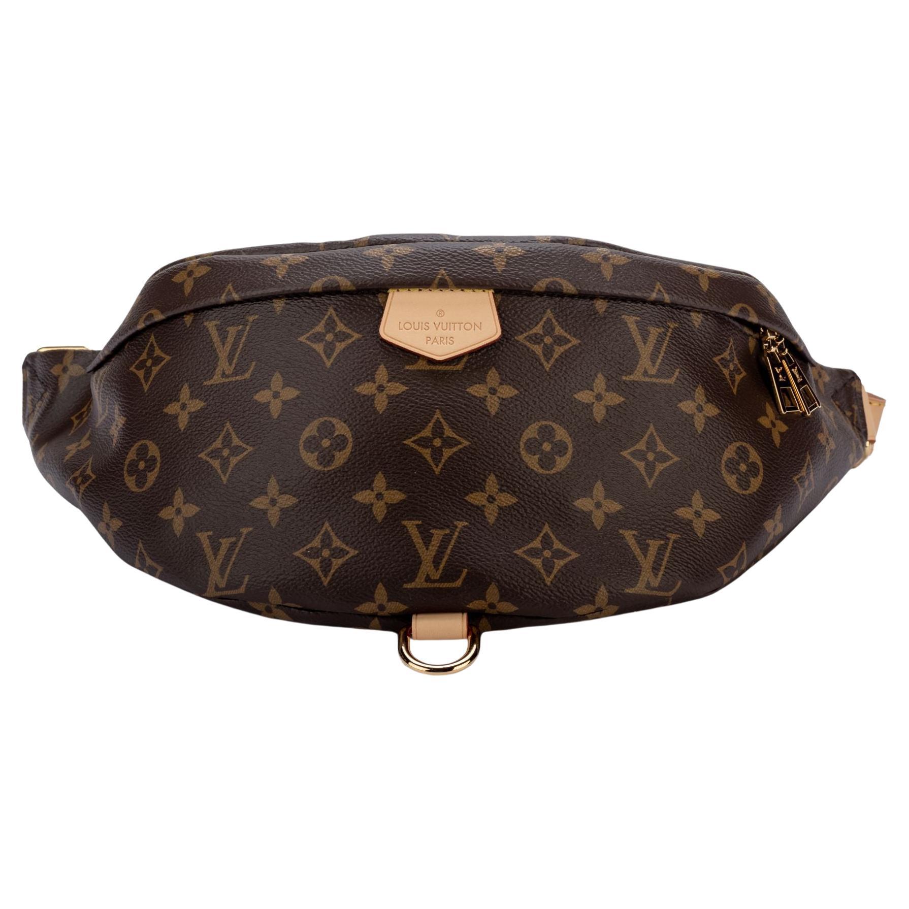 Louis Vuitton BNIB Monogram Bumbag at 1stDibs