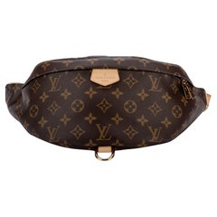 Sac à main Louis Vuitton BNIB Monogram Bumbag