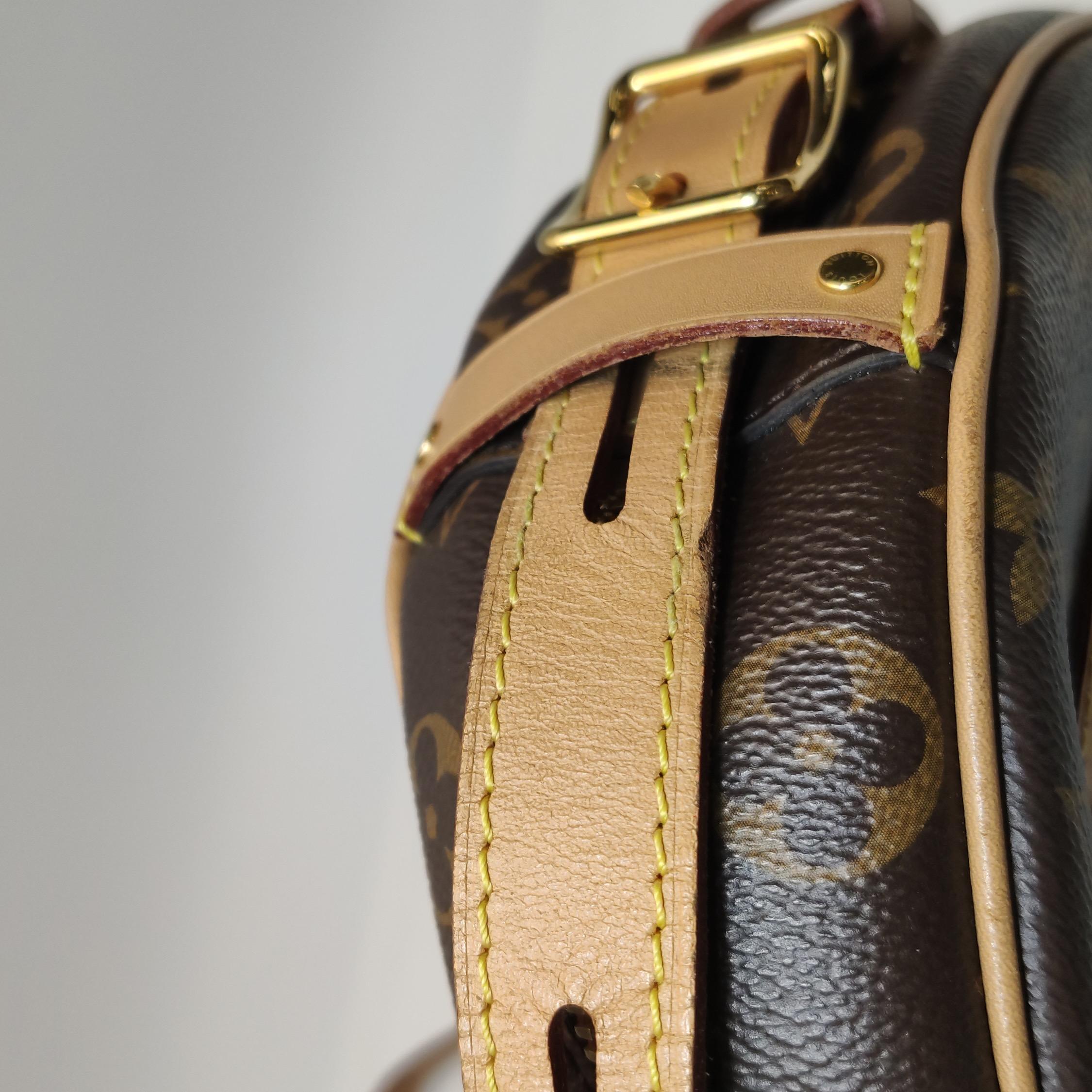 Louis Vuitton Boîte Chapeau Souple Leather MM Crossbody Bag For Sale 7