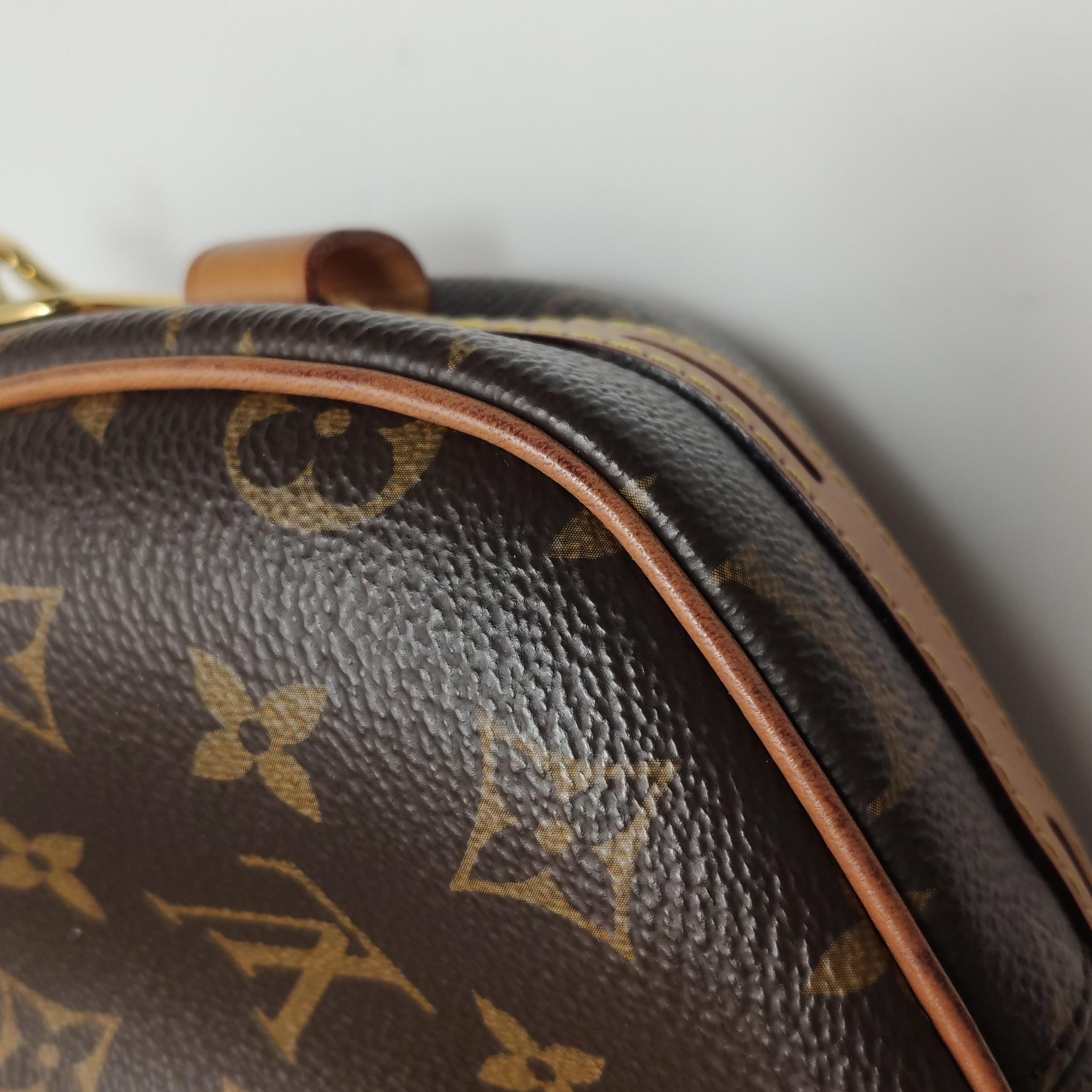 Louis Vuitton Boîte Chapeau Souple Leather MM Crossbody Bag 8