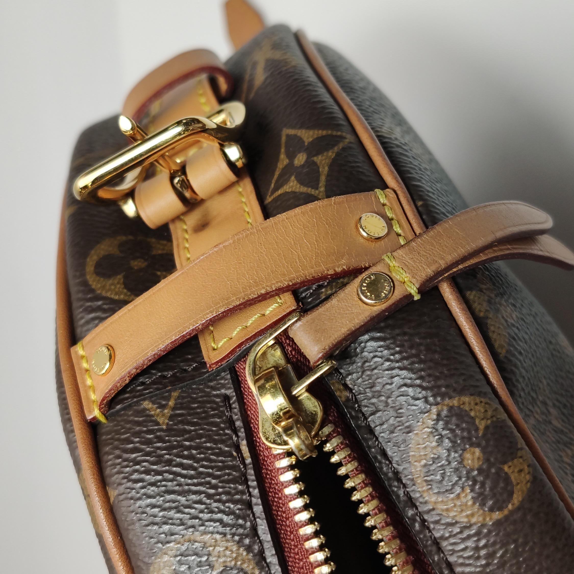 Louis Vuitton Boîte Chapeau Souple Leather MM Crossbody Bag 9