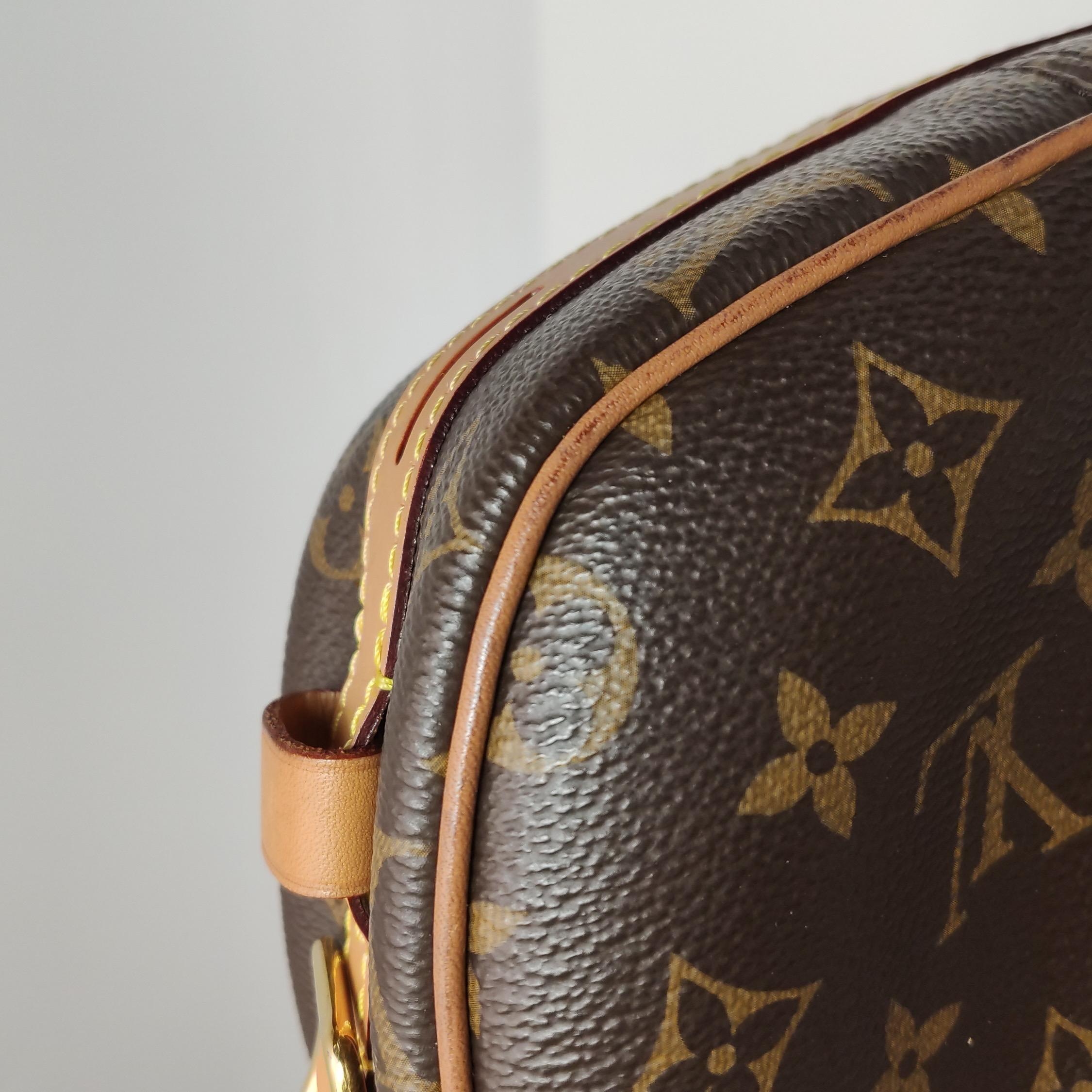 Louis Vuitton Boîte Chapeau Souple Leather MM Crossbody Bag 10
