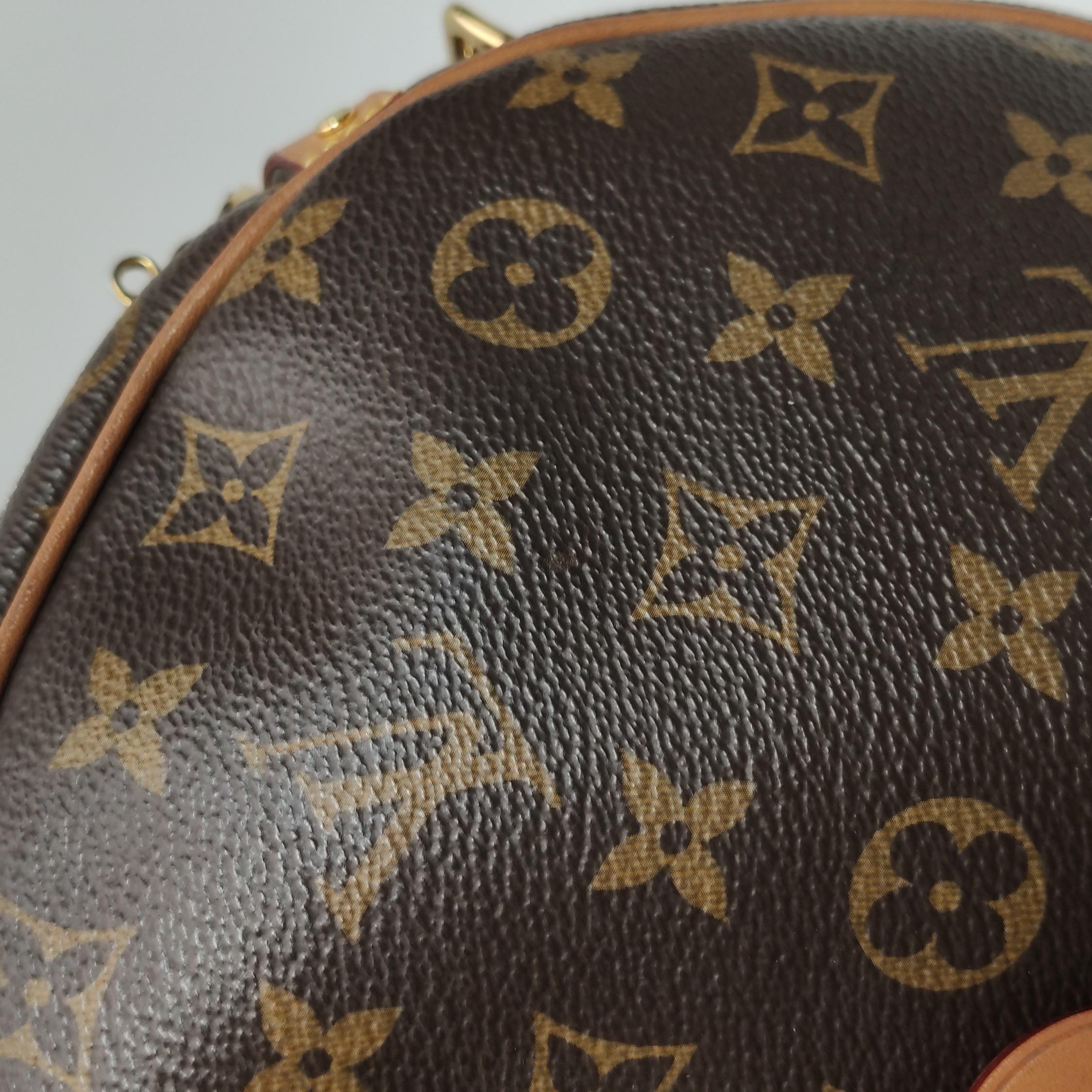 Louis Vuitton Boîte Chapeau Souple Leather MM Crossbody Bag 13