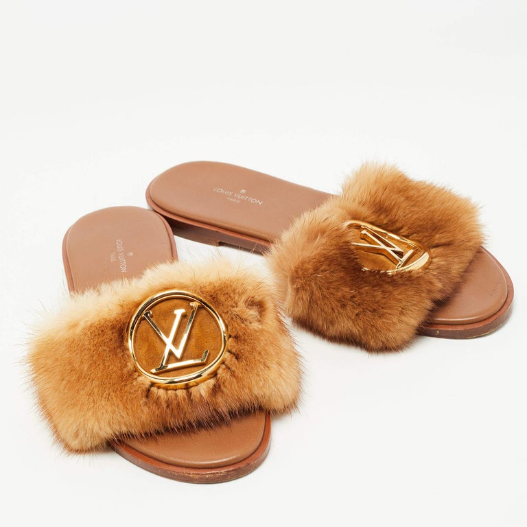 Shoes, Louis Vuitton Slides Used In Good Condition