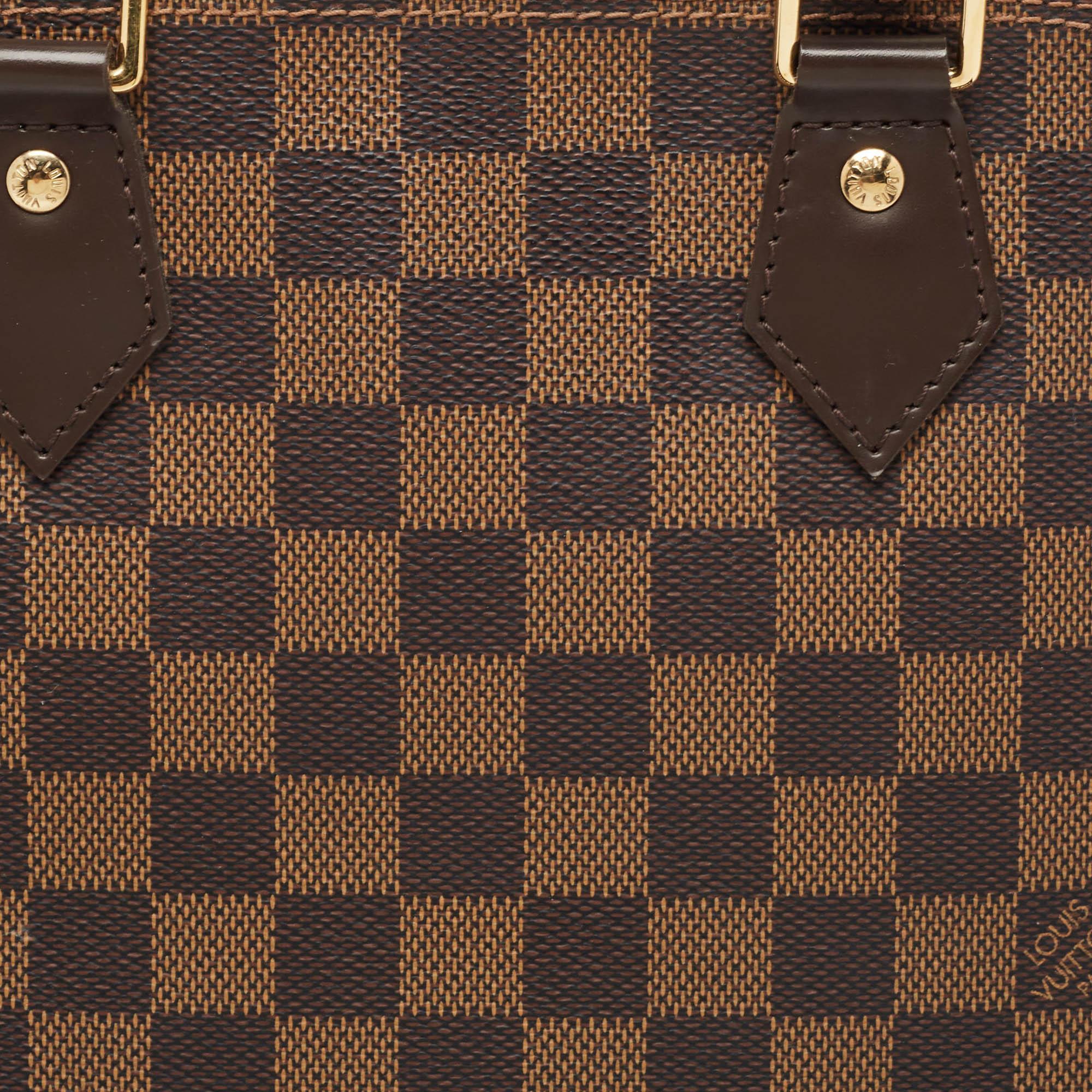 Louis Vuitton Brown Damier Ebene Canvas Alma PM Handbag 9