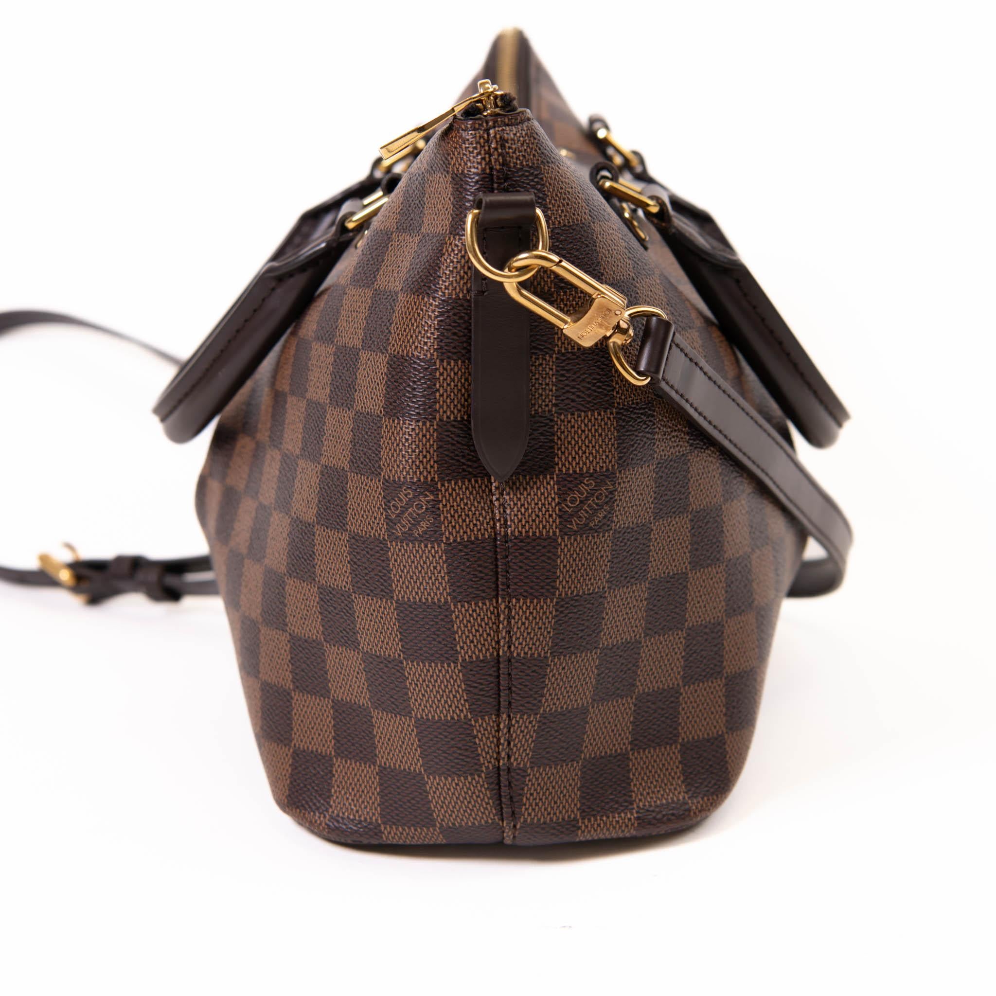 Louis Vuitton Brown Damier Ebene Canvas PM Siena Bag In Good Condition In Corona Del Mar, CA