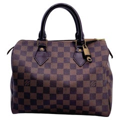 Louis Vuitton Brown Damier Ebene Canvas Speedy 25 Handbag